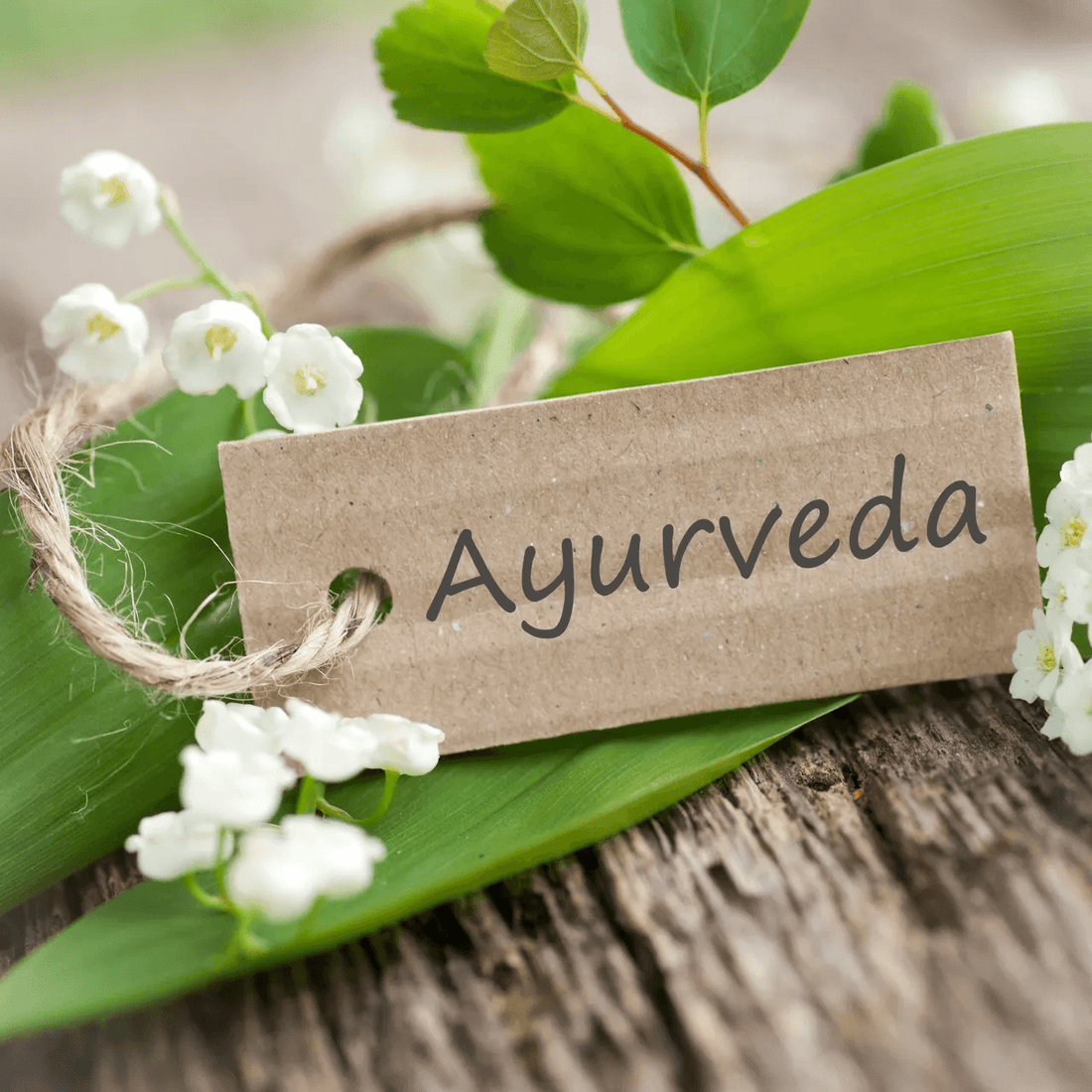 Close-up of Ayurveda tag on green leaves, highlighting Ayurvedic Inspired Ingredients.